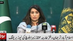 ترجمان دفترخارجہ