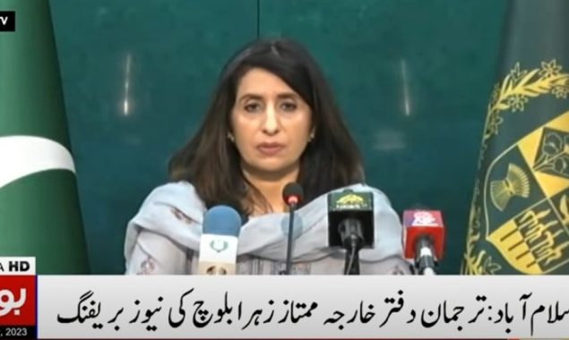 ترجمان دفترخارجہ