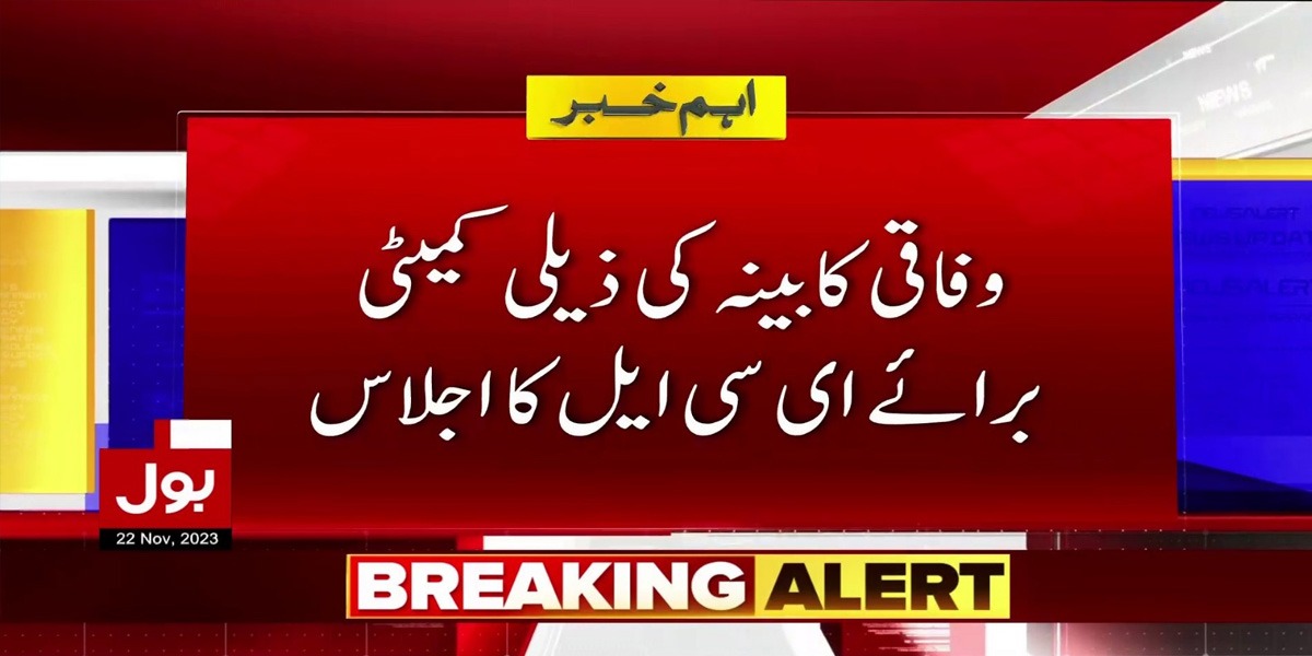 وفاقی کابینہ