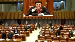 سینیٹ