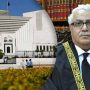 جسٹس مظاہر نقوی