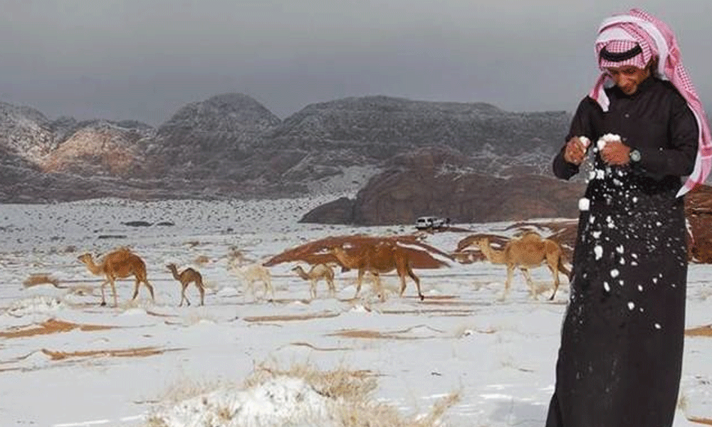سعودی عرب میں برف باری متعدد گاڑیاں برف میں دھنس گئیں