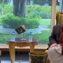 نواز شریف