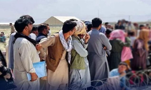 افغان