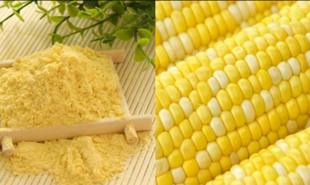 موسم سرما میں مکئی کا آٹا غذا میں شامل کر کے یہ 5 فائدے حاصل کریں