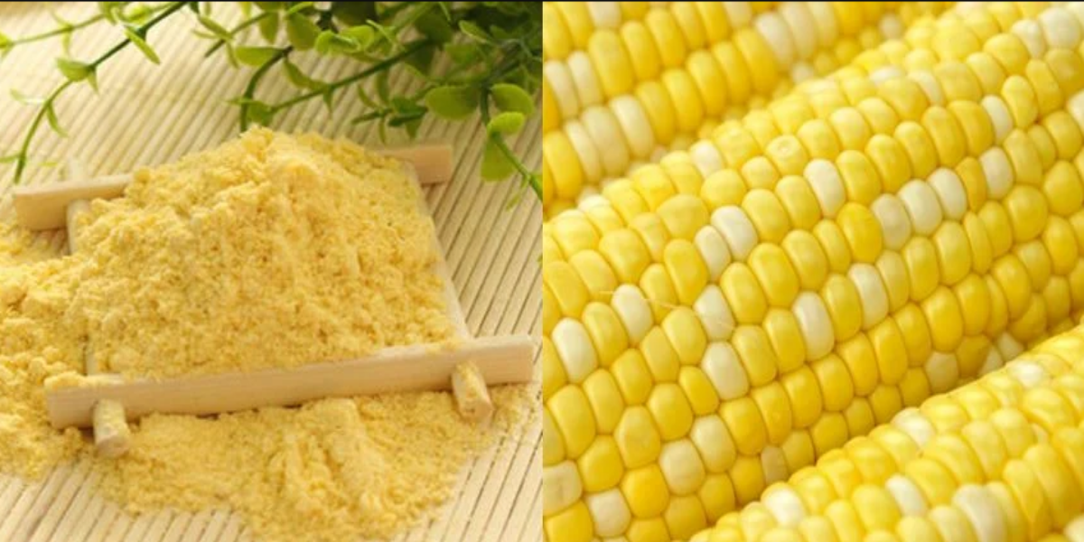 موسم سرما میں مکئی کا آٹا غذا میں شامل کر کے یہ 5 فائدے حاصل کریں