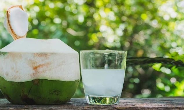 ناریل کا پانی