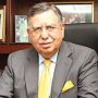 شوکت ترین