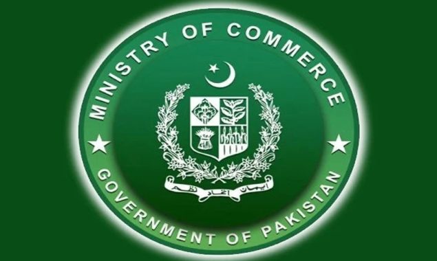 نگران حکومت