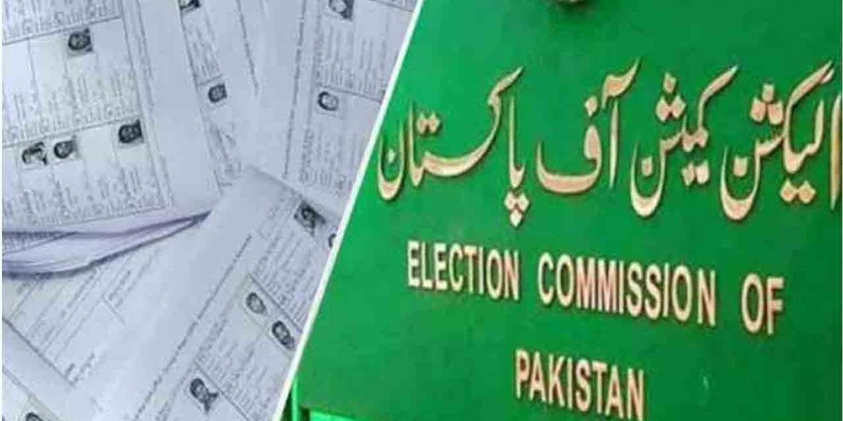 عام انتخابات 2024،