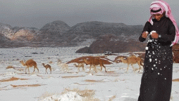 سعودی عرب میں برف باری متعدد گاڑیاں برف میں دھنس گئیں