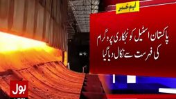 نگراں حکومت
