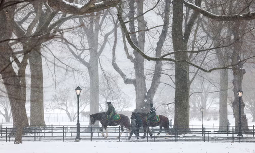 امریکہ میں شدید برفباری اور طوفان سے 92 افراد ہلاک