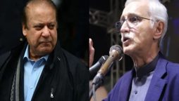 ن لیگ اور آئی پی پی