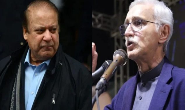 ن لیگ اور آئی پی پی