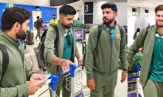 نیوزی لینڈ