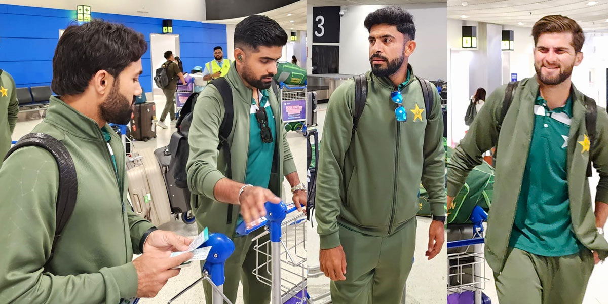 نیوزی لینڈ