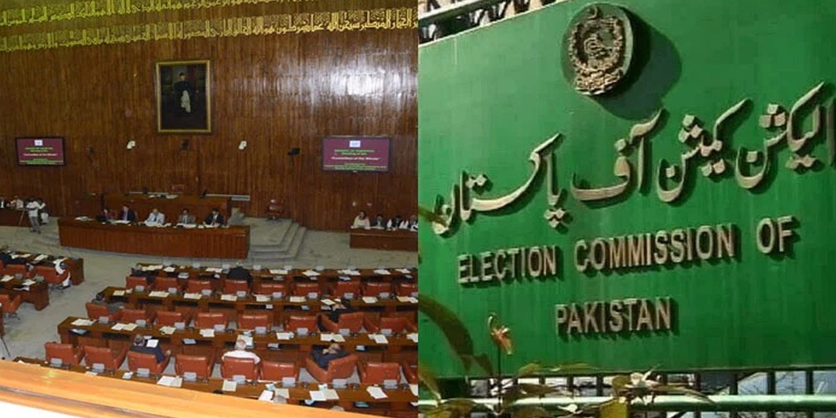 سینیٹ