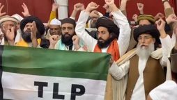 ٹی ایل پی نے نیا پارٹی پرچم اور 25 نکاتی انتخابی منشور پیش کردیا