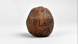 285 سال پرانا خشک لیموں حیران کن قیمت پر فروخت