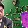 چیف الیکشن کمشنر