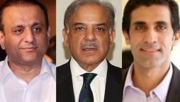 عبدالعلیم خان اور عون چوہدری