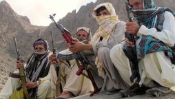 افغانستان میں دہشت گردوں کی پناہ گاہیں اور خطے پر اثرات