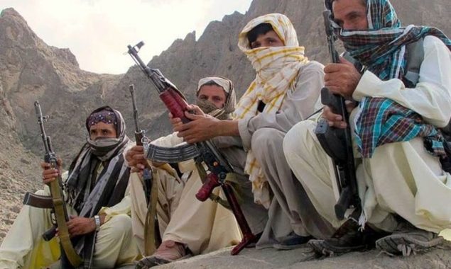 افغانستان میں دہشت گردوں کی پناہ گاہیں اور خطے پر اثرات