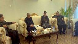 جلد از جلد حکومتی سازی کے لیے ن لیگ اور پیپلزپارٹی پر مشتمل کمیٹی کا پہلا اجلاس