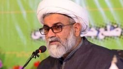 سربراہ ایم ڈبلیو ایم کی جانب سے پی ٹی آئی اعلان کا خیر مقدم