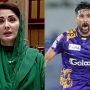 فیملی سے بدسلوکی کا واقعہ، محمد عامر نے مریم نواز سے درخواست کردی