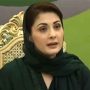 وزیراعلٰی پنجاب