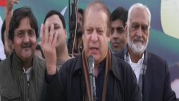 قائد مسلم لیگ ن