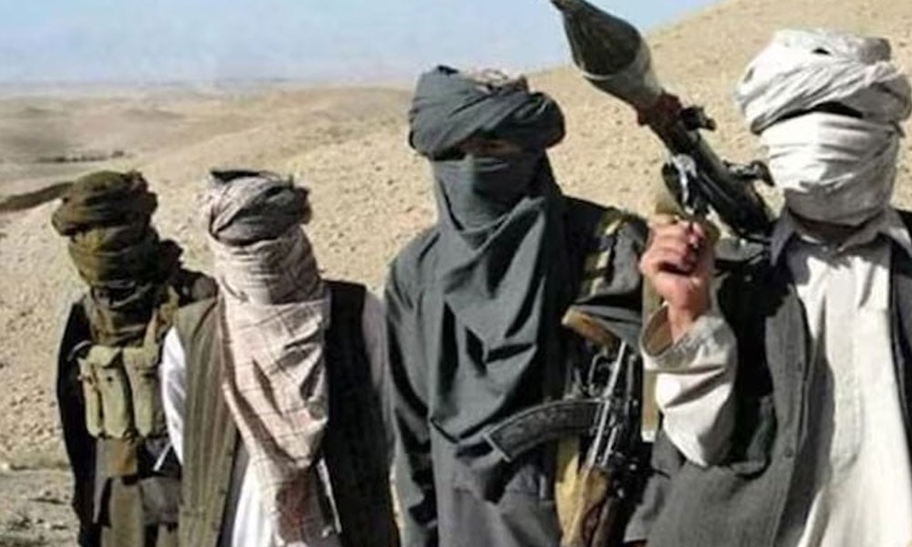 دہشت گردی کے واقعات میں افغانی نژاد دہشت گردوں کے ملوث ہونے کی تصدیق