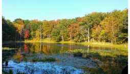 امریکی جھیل سےبر آمد ہونے والی قیمتی اشیاء نے لوگوں کو حیران کردیا