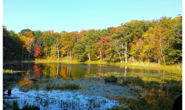 امریکی جھیل سےبر آمد ہونے والی قیمتی اشیاء نے لوگوں کو حیران کردیا