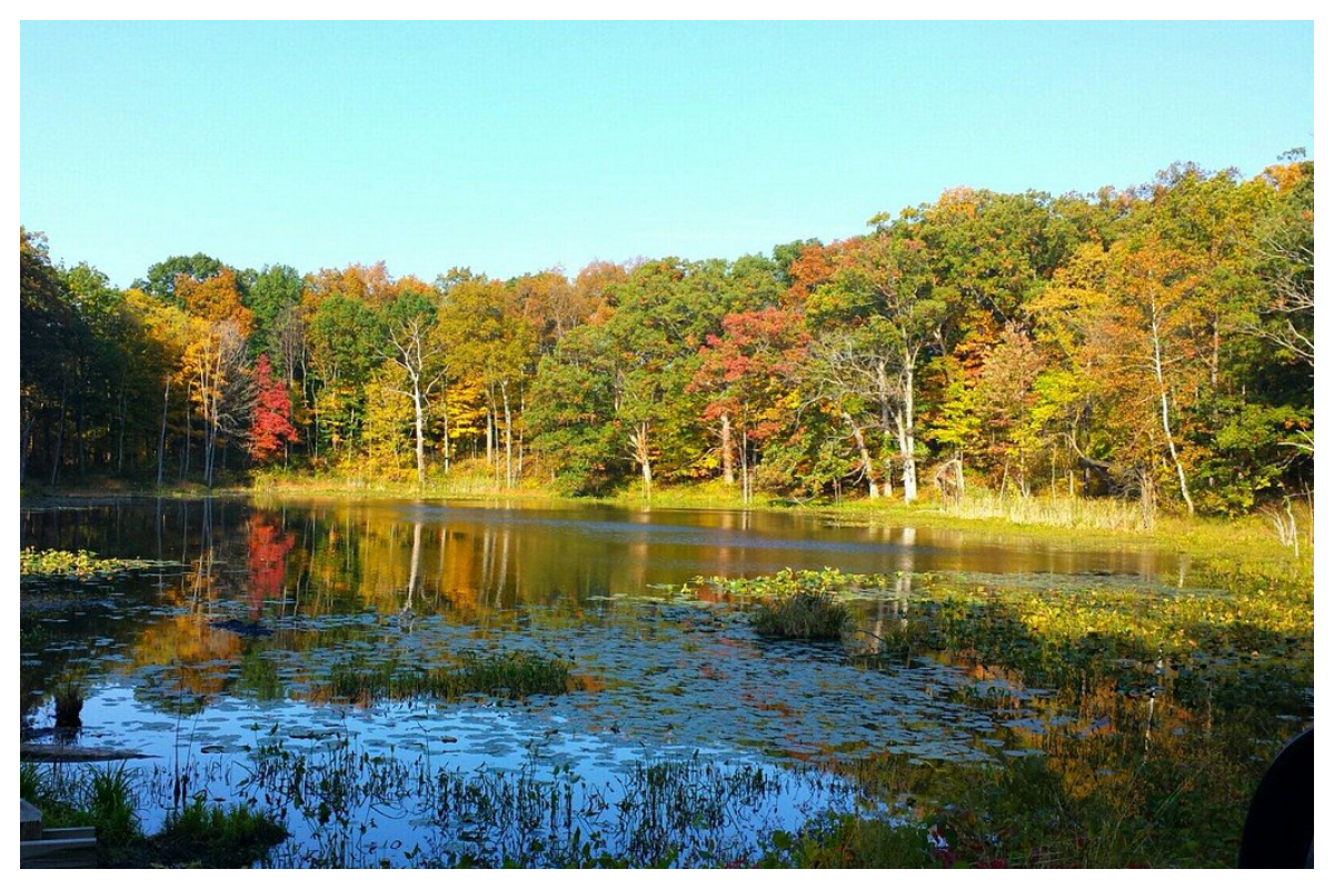 امریکی جھیل سےبر آمد ہونے والی قیمتی اشیاء نے لوگوں کو حیران کردیا