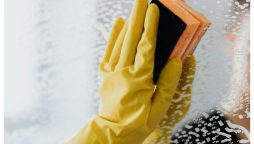 گھروں میں استعمال ہونے والے عام کیمیکلز صحت کے لیے مضر قرار