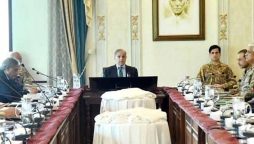 ومی اقتصادی کونسل نے آئندہ مالی سال کے لیے متعدد اہم فیصلے کیے ہیں