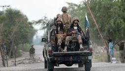 طالبان کا افغانستان پر قبضہ، بلوچستان میں 317 سیکیورٹی اہلکار اور 389 شہری شہید