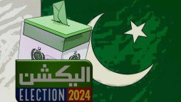 پاکستانیوں کی اکثریت نے ’’عام انتخابات 2024‘‘ کو شفاف قرار دے دیا