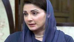 وزیراعلٰی پنجاب