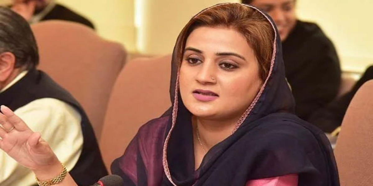 وزیراطلاعات پنجاب