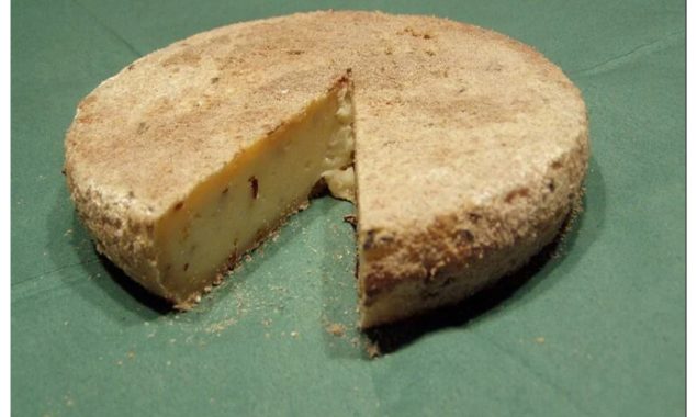 ’’ملبین کاسے‘‘ زندہ کیڑوں میں لپٹا دنیا کا نایاب ترین پنیر