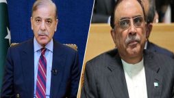 صدر مملکت اور وزیر اعظم