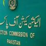 ضمنی انتخابات میں کامیاب امیدواروں کے فارم 47 جاری