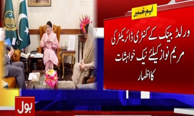 ورلڈبینک کنٹری ڈائریکٹر