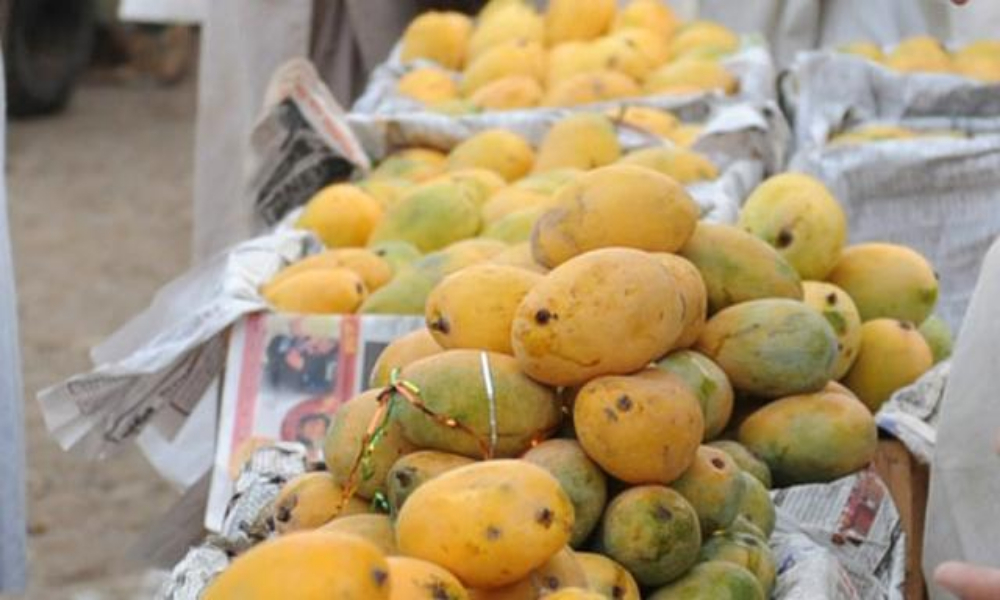 پاکستان سے آم کی برآمدات شروع، پہلی کھیپ دبئی روانہ