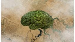 موسمیاتی تبدیلیاں دماغی امراض کو مزید خراب کر سکتی ہیں، تحقیق