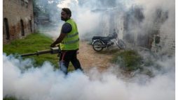 خیبرپختونخوا میں ڈینگی خدشات، محکمہ صحت نے بچاؤ کے لیے اقدامات تیز کر دیئے